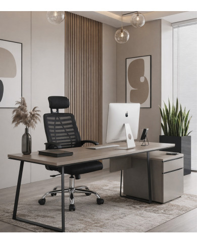 Silla de escritorio Queny ergonómica con reposacabezas
