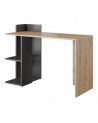 Mesa escritorio industrial con estantería TOKIO II