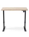 Mesa escritorio motorizado ELEVATE